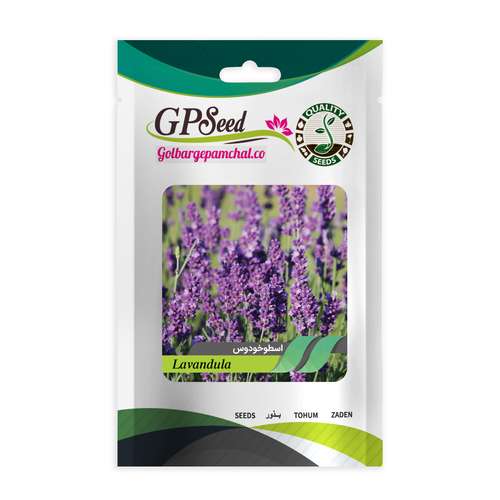 بذر گیاه اسطوخودوس گلبرگ پامچال کد GPF-212