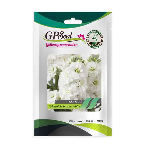 بذر گل شب بو سفید گلبرگ پامچال کد GPF-258