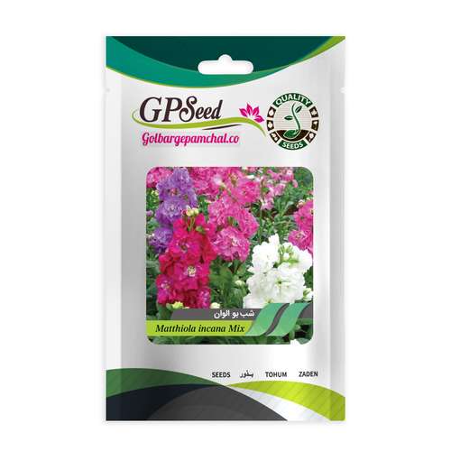 بذر گل شب بو الوان گلبرگ پامچال کد GPF-302