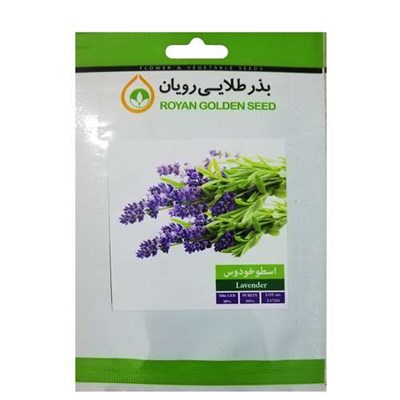 بذر گیاه دارویی اسطوخودوس بذر طلایی رویان کد BZT-108