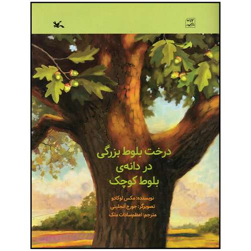 کتاب درخت بلوط بزرگی در دانه بلوط کوچک اثر مکس لوکادو انتشارات کانون پرورش فکری کودکان و نوجوانان