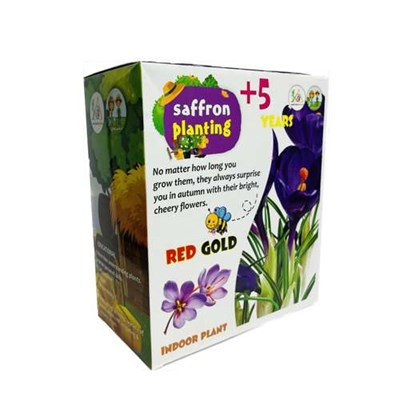 کیت کاشت گیاه زعفران خانواده باهوش من  مدلSaffron planting 500 