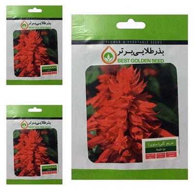 بذر گل مریم گلی ( سلوی ) بذر طلایی برتر کد BTB-18 مجموعه 3 عددی