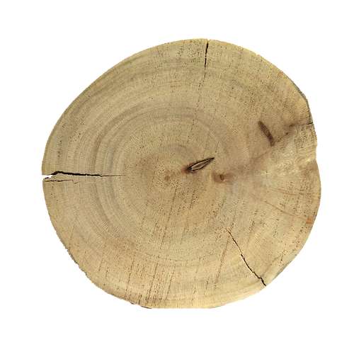 تخته چوب مدل تنه درخت چنار کد a20