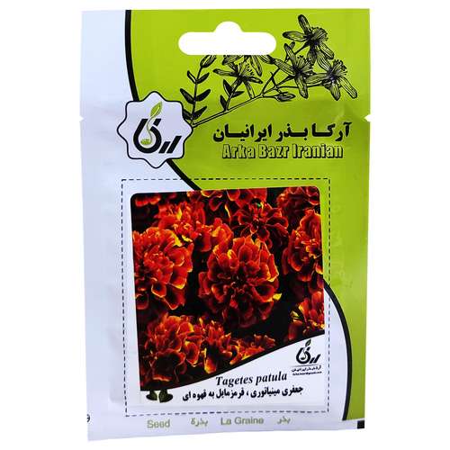 بذر گل جعفری مینیاتوری قرمز مایل به قهوه ای آرکا بذر ایرانیان کد ARK-072