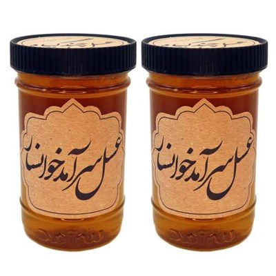  عسل طبیعی سرآمد چند گیاه - 900 گرم بسته 2 عددی