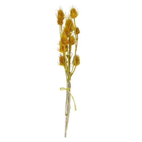 گل خشک مدل آناناسی بسته 10 عددی