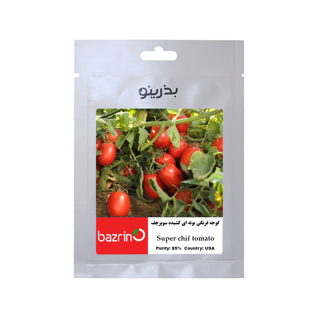بذر گوجه فرنگی بوته ای کشیده سوپرچف بذرینو کد BZ-153