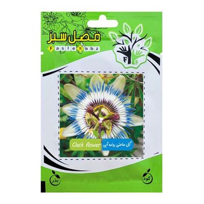 بذر گل ساعتی رونده آبی فصل سبز کد FSSEED-039