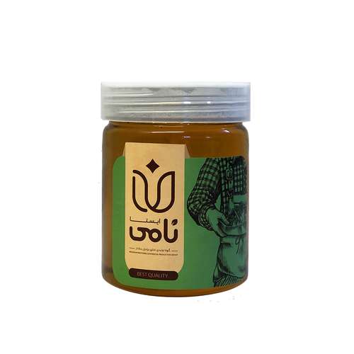 عسل طبیعی کوهی نامی ایستا - 500 گرم