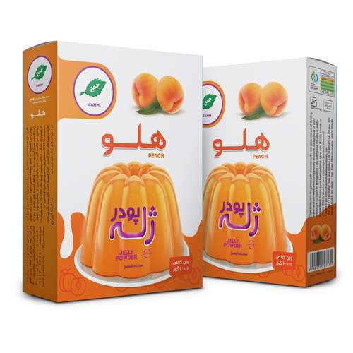 قیمت و خرید پودر ژله بلوبری جمع 100 گرم بسته 2 عددی