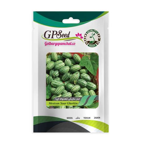 بذر میوه خیار مکزیکی هندوانه ای گلبرگ پامچال کد GPF-305