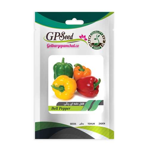 بذر فلفل دلمه ای رنگی گلبرگ پامچال کد GPF-161