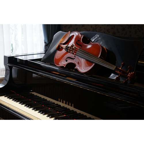 تابلو شاسی طرح زیباترین عکس های جهان-ویولن و پیانو کد 114