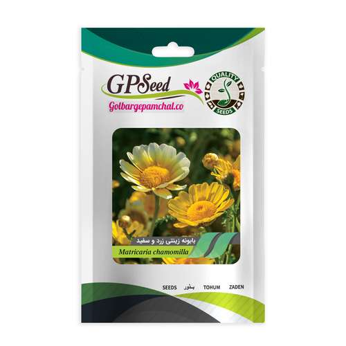 بذر گل بابونه زینتی زرد و سفید گلبرگ پامچال کد GPF-235