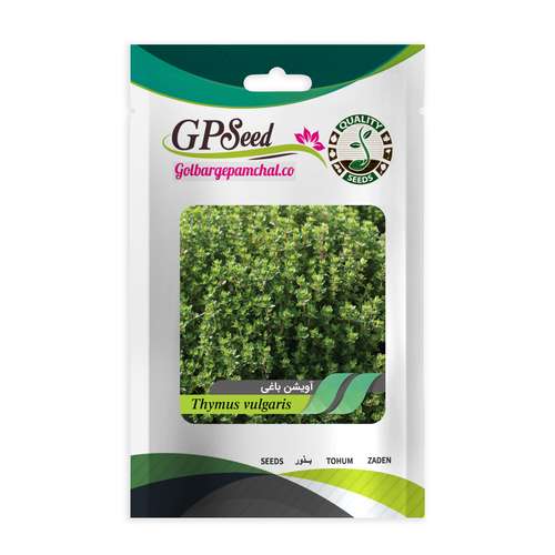 بذر آویشن باغی گلبرگ پامچال کد GPF-213