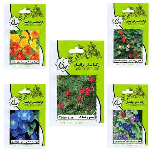 بذر گل های رونده آرکا بذر ایرانیان کد 001-ARK مجموعه 5 عددی