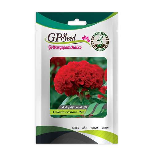 بذر گل تاج خروس چتری قرمز گلبرگ پامچال کد GPF-241