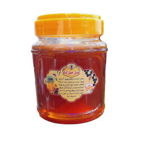 عسل طبیعی کوهی چند گیاه - 1 کیلوگرم