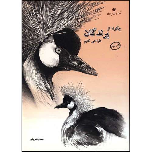کتاب چگونه از پرندگان طراحی کنیم اثر بهنام شریفی انتشارات یساولی