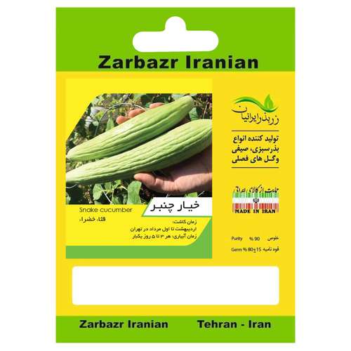 بذر خیار چنبر زربذر ایرانیان کد ZBP-23