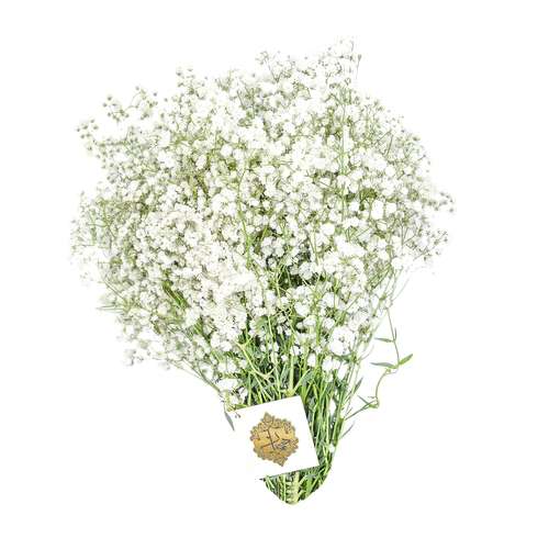 دسته گل ژیپسوفیلا سفید هیمان کد 1069