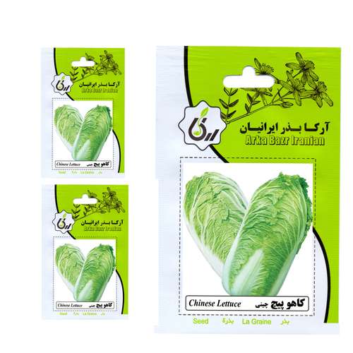 بذر کاهو پیچ چینی آرکا بذر ایرانیان کد 021 a مجموعه 3 عددی