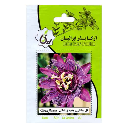 بذر گل ساعتی رونده زرشکی آرکا بذر ایرانیان کد 164-ARK