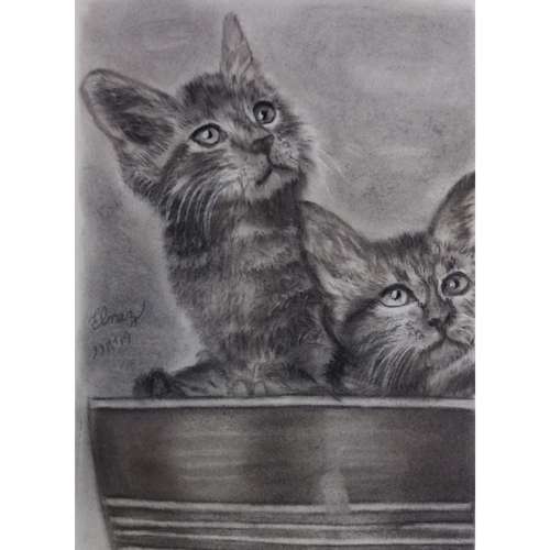 نقاشی سیاه قلم مدل گربه های کنجکاو