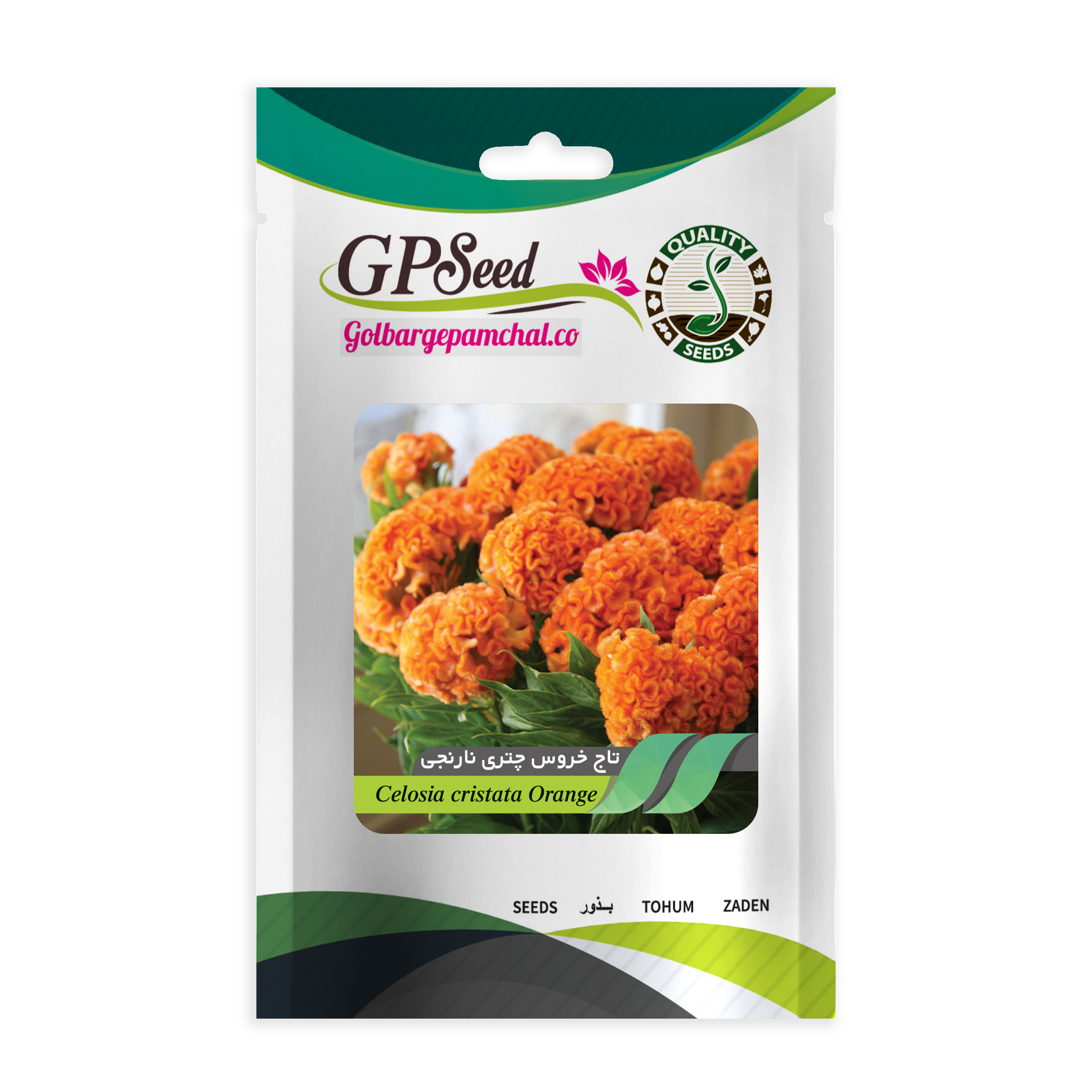 بذر گل تاج خروس چتری نارنجی گلبرگ پامچال کد GPF-242