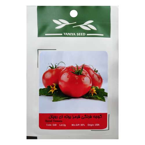 بذر گوجه فرنگی قرمز بوته ای رویال وانیا سید مدل G40