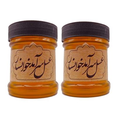 عسل طبیعی چند گیاه سرآمد - 400 گرم بسته 2 عددی