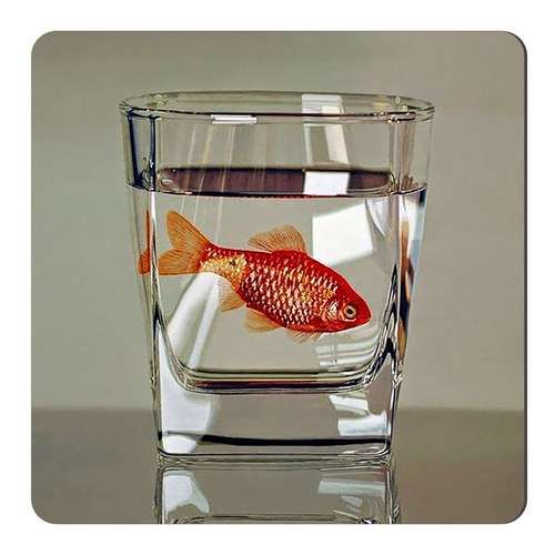 	 مگنت طرح ماهی قرمز در لیوان شیشه ای کد wmg4325